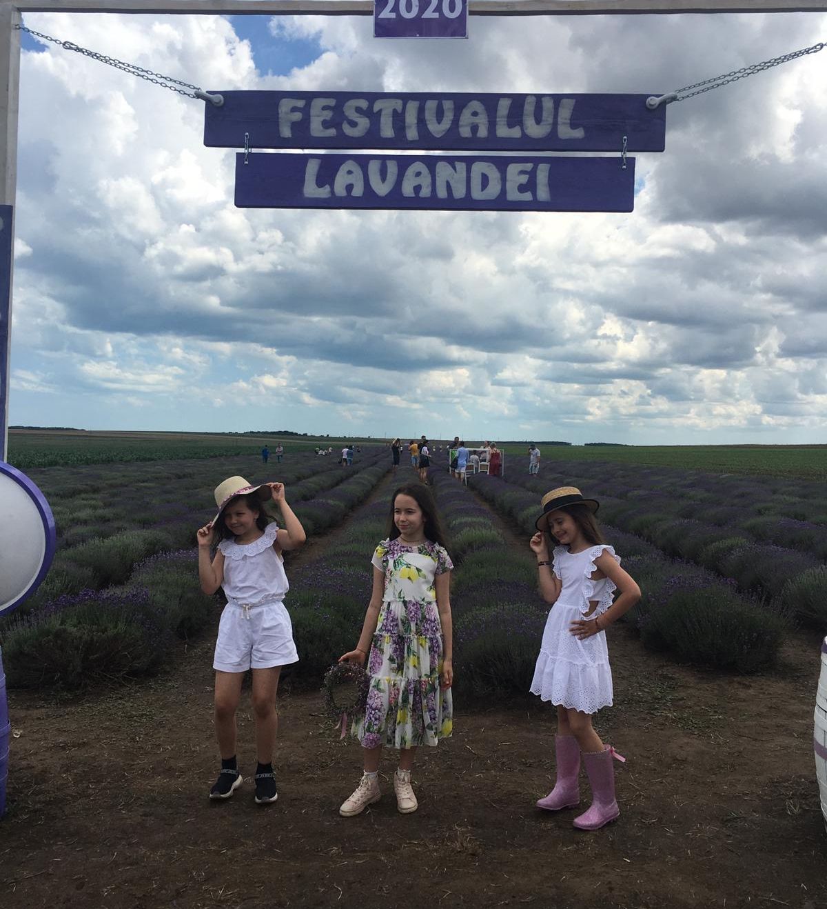 lavanda_fet (1)