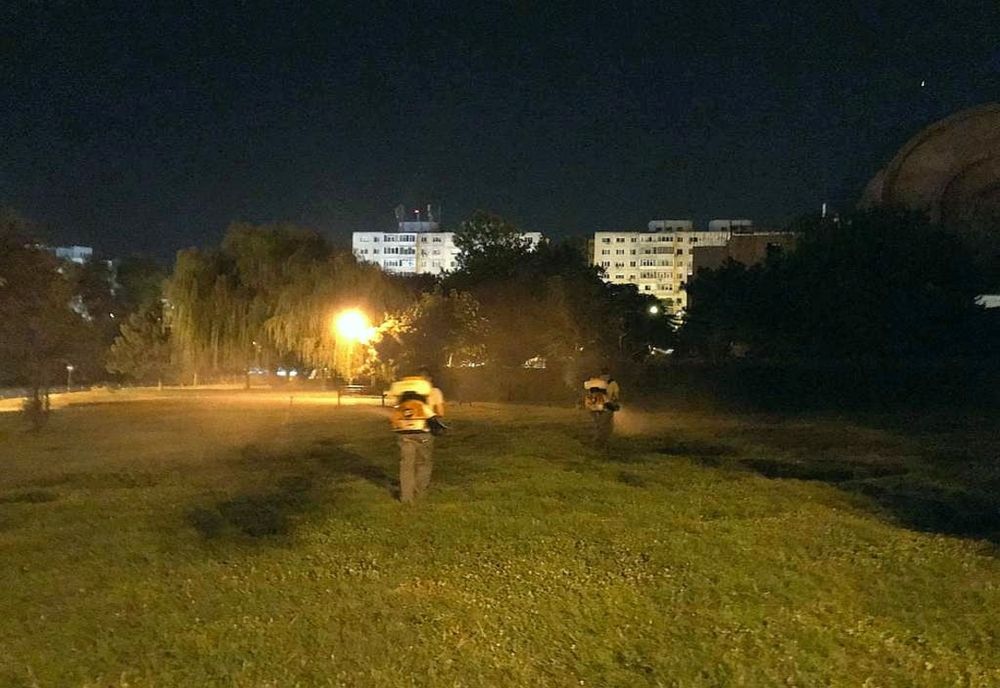 Acțiuni intensificate de dezinsecție în toate cartierele 