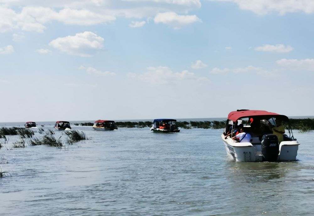 O Zonă Strict protejată din Delta Dunării luată cu asalt de către turiști