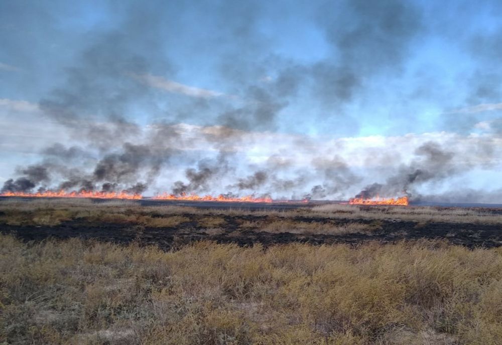 FOTO VIDEO| Incendiu violent în Rezervația Biosferei Delta Dunării. Ard 200 de hectare de vegetație uscată