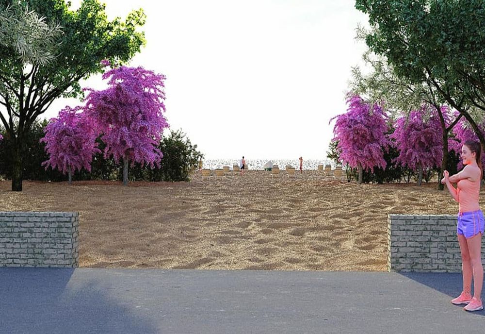 Barieră verde în stațiunea Mamaia. Pe plaja vor fi plantate sălcii și cătină, ca în anii `80.