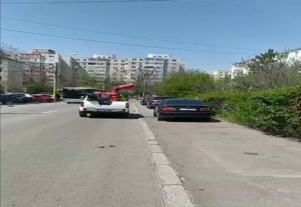 Începe dezinsecșia în municipiul Constanța