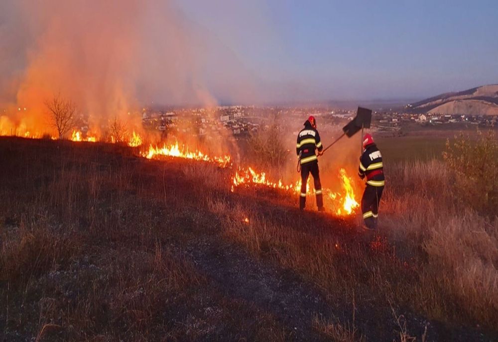 FOTO Incendiu violent în Tulcea. 10 hectare de vegetație uscată făcute scrum