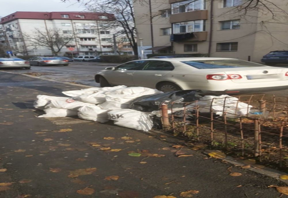Amenzi uriaşe pentru cei care aruncă gunoaiele la întâmplare