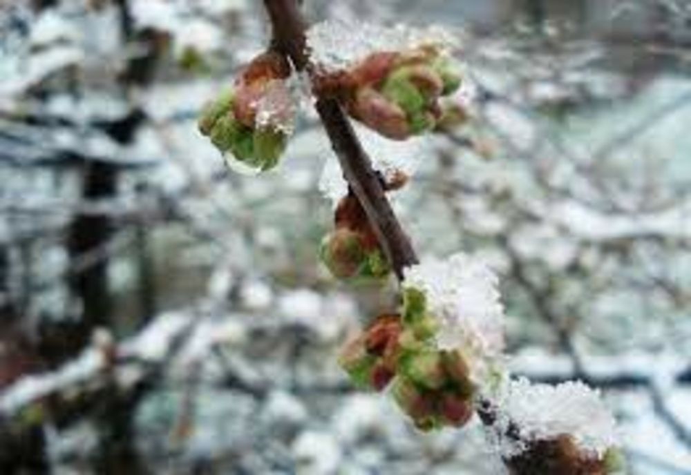 Vremea 23 februarie - Temperaturi în scădere în majoritatea zonelor