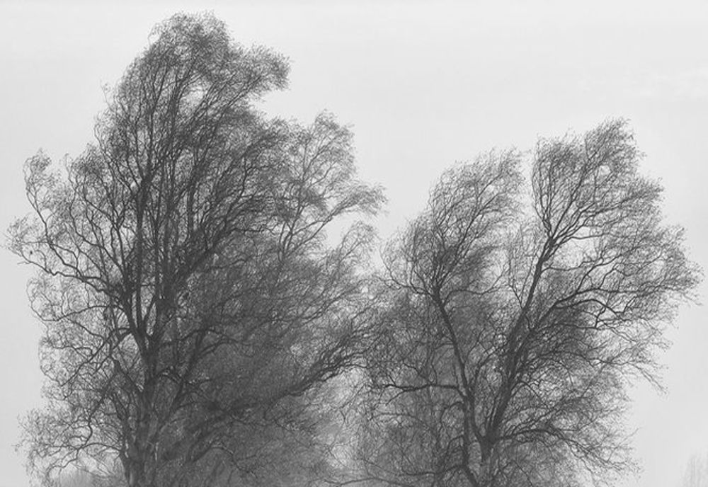 Cod galben de vreme severă imediată în județele Constanța și Tulcea 