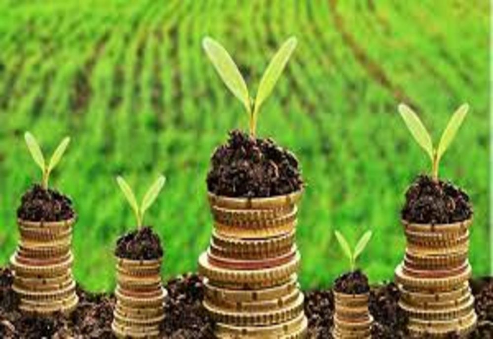 Sprijin de peste 1 miliard de lei pentru fermierii din sectoarele vegetal şi zootehnic