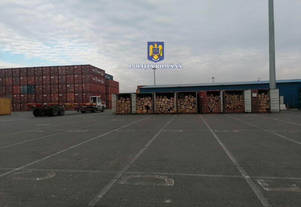 FOTO Șapte containere cu lemn de stejar prelucrat, de aproximativ 100.000 de euro, confiscat de polițiștii constănțeni
