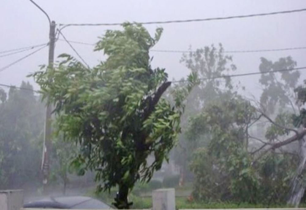 Cod galben de vânt puternic în Dobrogea