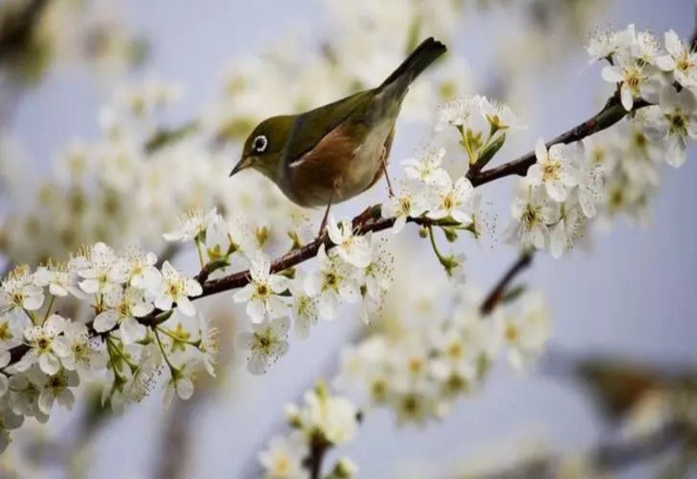 Cer variabil și temperaturi de până la 20 de grade astăzi