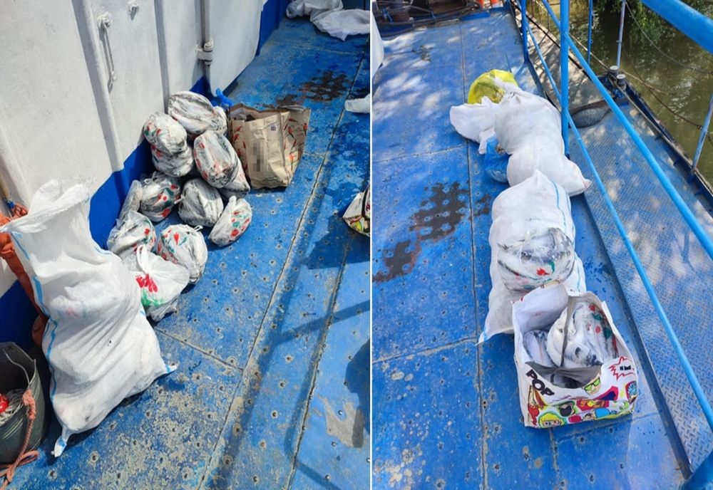 FOTO Sute de kilograme de pește fără acte descoperite de polițiștii de frontieră în Delta Dunării