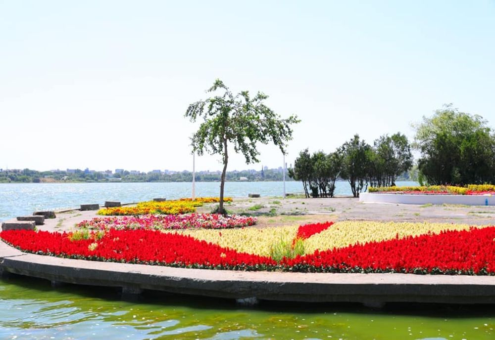  100.000 de flori vor fi plantate în Constanța