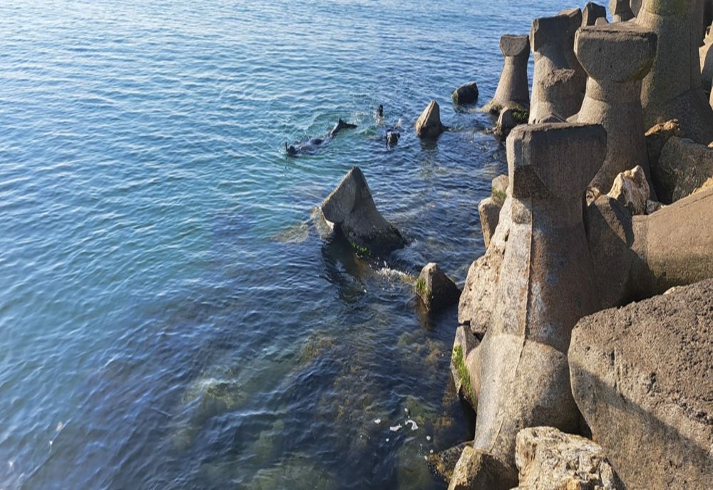 VIDEO Tânărul dispărut în mare, la Costinești, căutat de scafandrii de opt zile