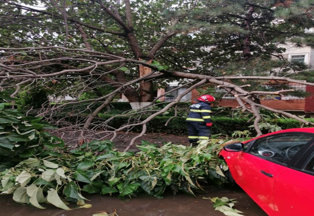 Pompierii constănțeni au intervenit pentru îndepărtarea unui stâlp căzut pe carosabil la intrare în Mamaia şi a unui copac căzut pe o maşină