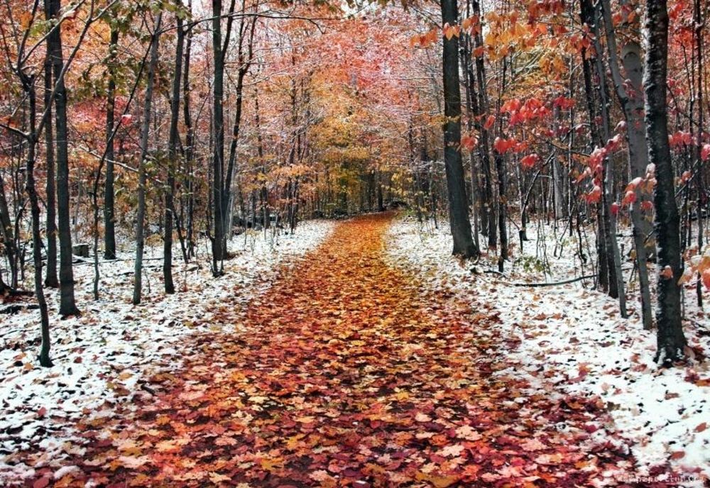 Vremea 20 noiembrie - Două anotimouri