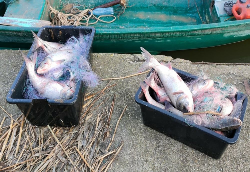 FOTO Braconieri prinși în flagrant pe lacul Tatlageac 