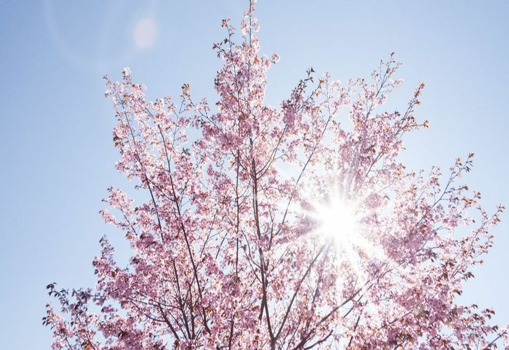 Cum va fi vremea de Paște - Prognoza meteo pentru următoarele patru săptămâni