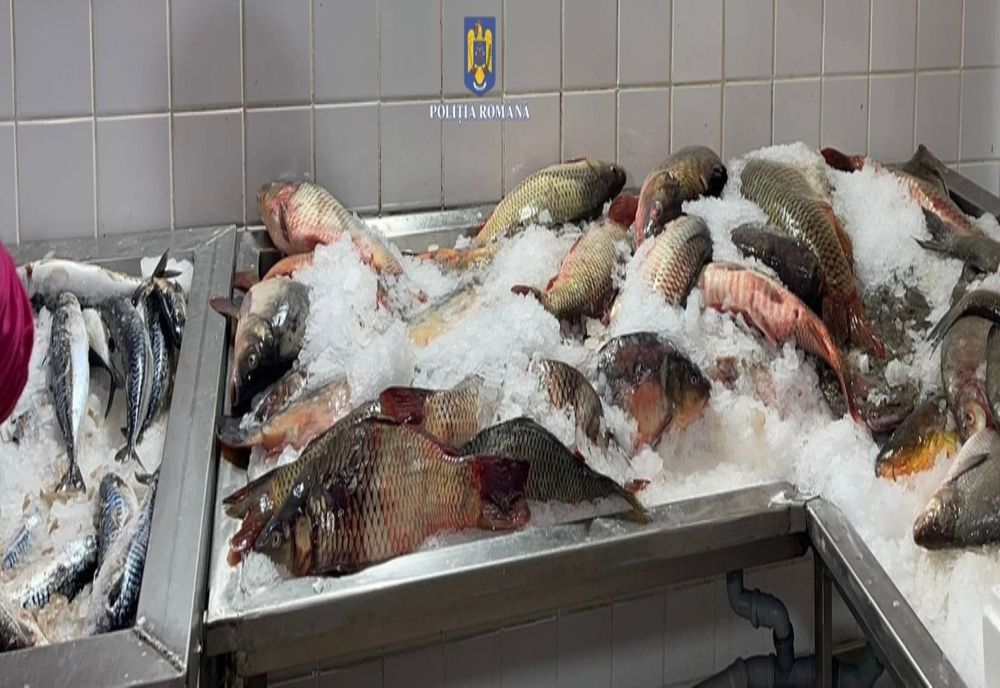 Record de amenzi pentru braconaj piscicol