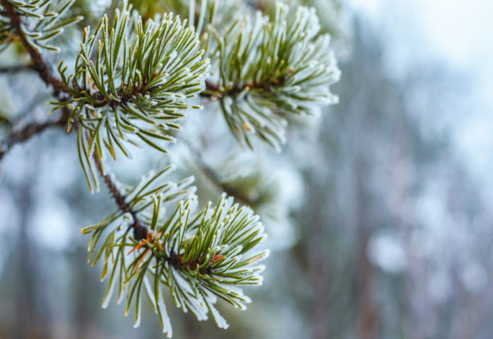 Cum va fi vremea astăzi. Unde va ploua
