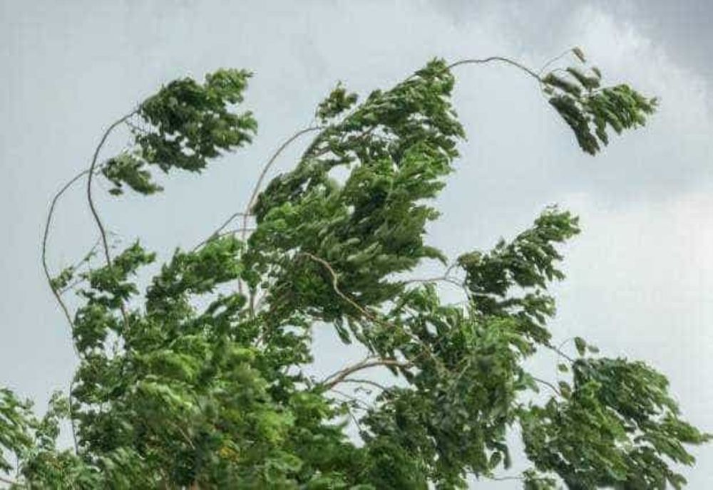 Alertă ANM de ultimă oră! Vântul spulberă tot în sudul și estul țării. Lista județelor unde vijelia va face ravagii