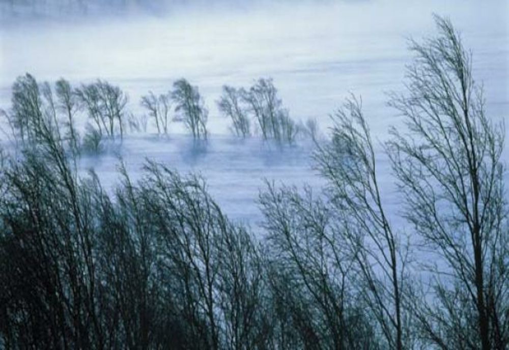 ANM A EMIS AVERTIZĂRI DE VREME REA: VÂNT PUTERNIC ȘI VISCOL ÎN ZONELE MONTANE