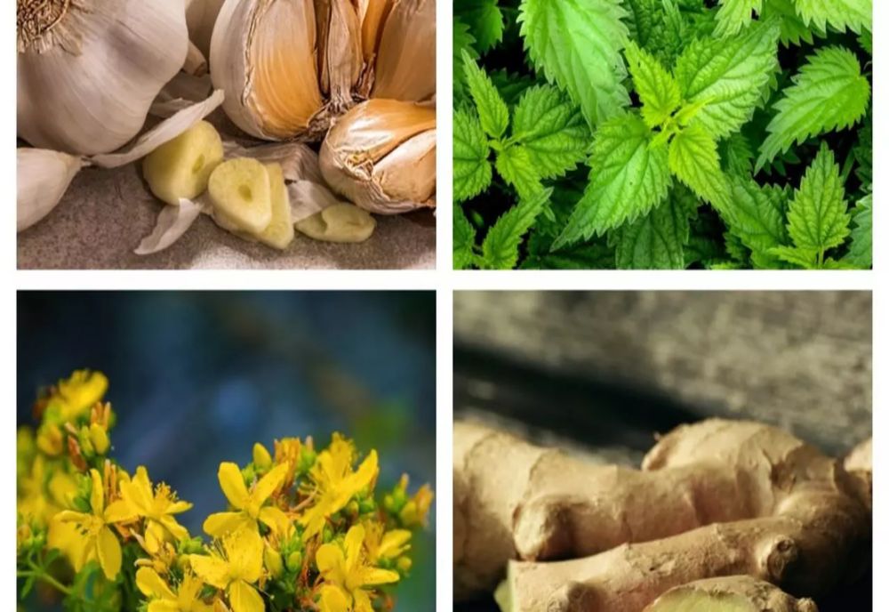 Mirodenii și plante aromatice ideale pentru imunitate. Recomandarea unui renumit fitoterapeut