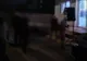 Petrecere de botez întreruptă de polițiștii locali; organizatorii au fost puși să igienizeze zona
