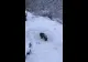 Pericol public pe străzile Constanței: camion filmat în timp ce mergea pe contrasens