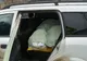 Sute de kilograme de pește de contrabandă, confiscate de polițiștii de frontieră