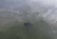 VIDEO| Descoperire macabră în lacul Tăbăcărie