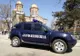 Măsuri pentru asigurarea ordinii publice cu ocazia sărbătorii Izvorul Tămăduirii