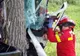 Accident mortal la Gura Dobrogei