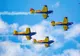 FOTO VIDEO| 15 000 de spectatori la Black Sea Air Show. Spectacol în aer și la sol pe aeroportul din Mihail Kogălniceanu