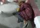 Dosare penale în cazul minorilor obligați să cerșească la Costinești