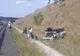 FOTO| Accident pe Autostrada Soarelui. Autoturism răsturnat în afara carosabilului