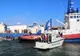 Transport de animale reținut în portul Midia