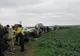 FOTO| 141 de stejari plantați pentru 141 de ani de la reintegrarea Dobrogei la teritoriul național