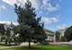 Parcul de la Casa de Cultură poartă de acum numele “Parcul Regina Maria”