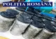 Acțiune de amploare, flagrant, percheziții, la braconierii din Ialomița
