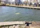 FOTO VIDEO|Autoturism cu un copil şi bunic, căzut în lacul Tăbăcărie