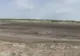 FOTO VIDEO| Poluare masivă cu petrol lângă plaja de la Vadu