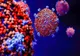 390  cazuri de coronavirus în județul Constanța
