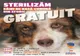 Campanie de sterilizare gratuită a câinilor de rasă comună din Eforie