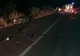 FOTO| Accident mortal. Un motociclist a intrat într-o turmă de capre