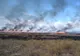 FOTO VIDEO| Incendiu violent în Rezervația Biosferei Delta Dunării. Ard 200 de hectare de vegetație uscată