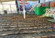 A început demolarea teraselor amenajate abuziv