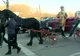 ÎPS Teodosie în caleașcă, la procesiunea de Sfântul Haralambie