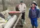FOTO VIDEO Prinși cu un sturion de 140 kg în căruță!