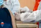 Constanța. Primul maraton de vaccinare dedicat tinerilor 