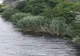 Descoperire macabră în Canalul Poarta Albă - Midia Năvodari